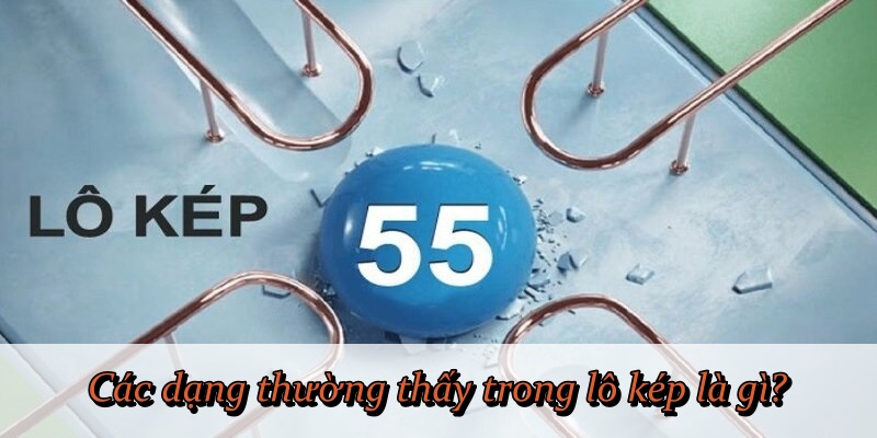 Các dạng thường thấy trong lô kép là gì?
