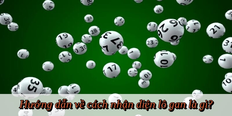 Hướng dẫn về cách nhận diện lô gan là gì?
