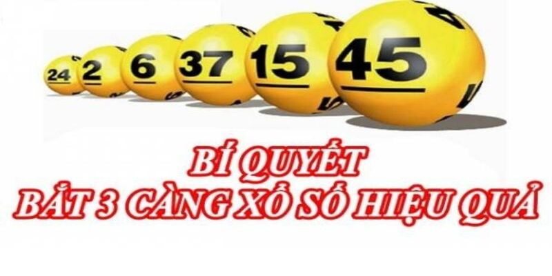 Phương pháp bắt 3 càng đạt độ hiệu quả cao