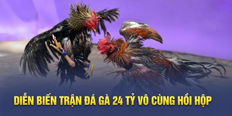 Thông báo diễn biến và kết quả của trận đá gà 24 tỷ
